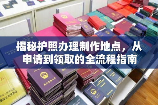 镇海揭秘护照办理制作地点，从申请到领取的全流程指南